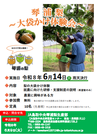 琴浦梨~大袋かけ体験会~