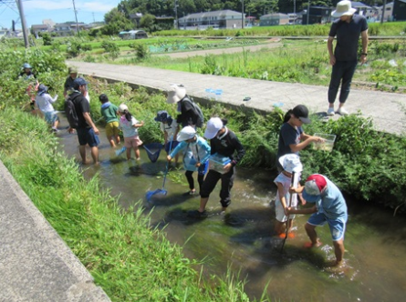 自然ウォッチングおさかな教室