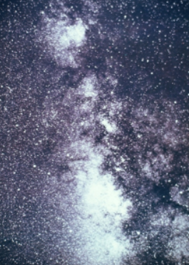自然ウォッチング天の川と夏の星座を見よう