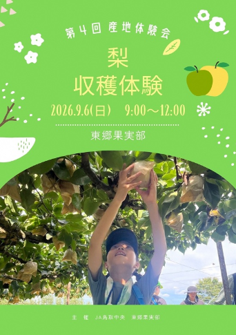 東郷果実部梨収穫体験